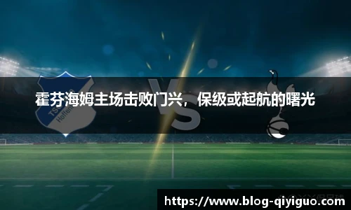 霍芬海姆主场击败门兴,保级或起航的曙光